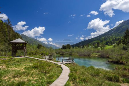Téléchargez les photos : Spring landscape in Zelenci, Slovenia - en image libre de droit