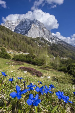 Téléchargez les photos : Landscape near Vrsic, Triglavski national park, Slovenia - en image libre de droit