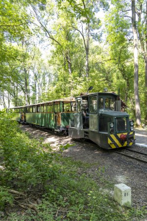 Photo for Narrow gauge railway in Gemenc-Dunapart, Hungary - Royalty Free Image