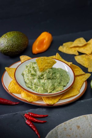 Téléchargez les photos : Durée de vie du guacamole avec des nachos - en image libre de droit