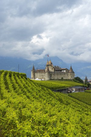 Téléchargez les photos : Château d'Aigle dans le canton de Vaud, Suisse - en image libre de droit