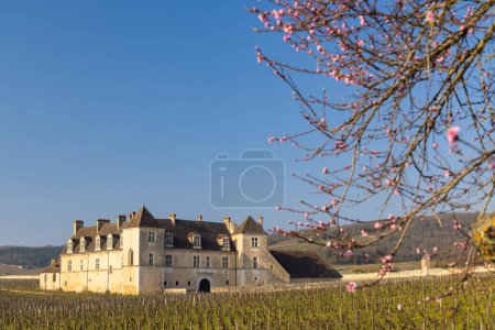 Téléchargez les photos : Château de Clos de Vougeot, Côte de Nuits, Bourgogne, France - en image libre de droit