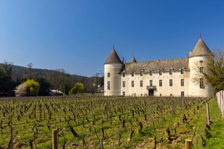 Photo for Savigny-les-Beaune castle (Chateau de Savigny-les-Beaune), Cote de Nuits, Burgundy, France - Royalty Free Image