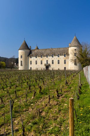 Foto de Savigny-les-Beaune castle (Chateau de Savigny-les-Beaune), Cote de Nuits, Burgundy, France - Imagen libre de derechos