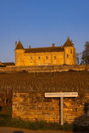 Photo for Chateau de Rully castle, Saone-et-Loire departement, Burgundy, France - Royalty Free Image
