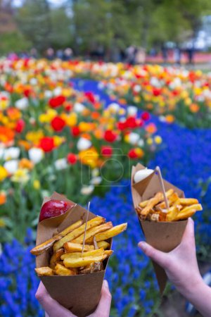 Foto de Belgian fries in Keukenhof flower garden, Lisse, Netherlands - Imagen libre de derechos