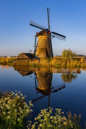 Téléchargez les photos : Traditional Dutch windmills in Kinderdijk - Unesco site, The Netherlands - en image libre de droit