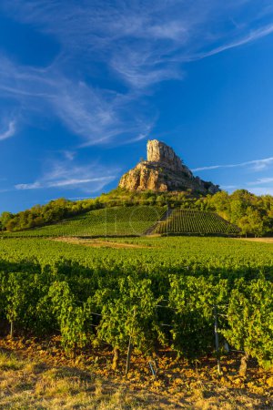 Foto de Roca de Solutre con viñedos, Borgoña, Solutre-Pouilly, Francia - Imagen libre de derechos
