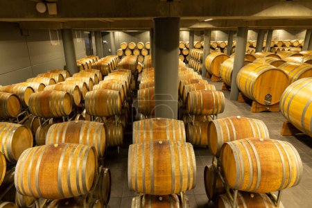Photo for Wine cellar full of wooden barrels in Barolo, Piedmont, Italy - Royalty Free Image