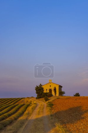 Photo for Chapel in Plateau de Valensole, Provence, France - Royalty Free Image