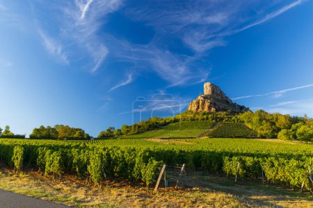 Téléchargez les photos : Rocher de Solutre avec vignobles, Bourgogne, Solutre-Pouilly, France - en image libre de droit