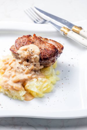 Photo for Grilled meat with mashed potatoes with onion sauce - Royalty Free Image