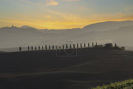 Foto de Paisaje típico toscano de otoño matutino, Val D 'Orcia, Toscana, Italia - Imagen libre de derechos