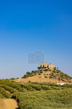 Téléchargez les photos : Château d'Almodovar del Rio en Andalousie, Espagne - en image libre de droit