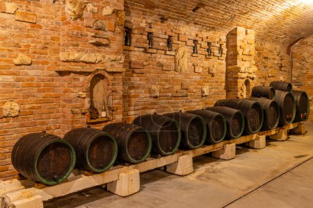 Photo for Wine cellars with barrels in Rakvice, Southern Moravia, Czech Republic - Royalty Free Image
