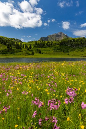 Téléchargez les photos : Paysages près de Kalbelesee, Hochtann Mountain Pass, Warth, Vorarlberg, Autriche - en image libre de droit