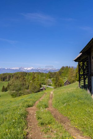 Téléchargez les photos : Typical wooden log cabins in Gorjuse, Triglavski national park, Slovenia - en image libre de droit