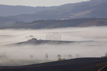 Téléchargez les photos : Paysage typique d'automne toscan du matin, Val D'Orcia, Toscane, Italie - en image libre de droit