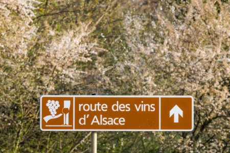 Foto de Wine road near Colmar, Alsace, France - Imagen libre de derechos
