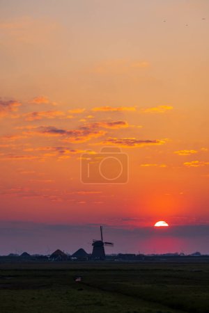 Téléchargez les photos : Lever de soleil avec moulin à vent Hargermolen, Bergen - Schoorl, Pays-Bas - en image libre de droit