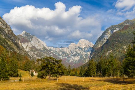 Téléchargez les photos : Paysage dans le parc national de Triglavski, Slovénie - en image libre de droit