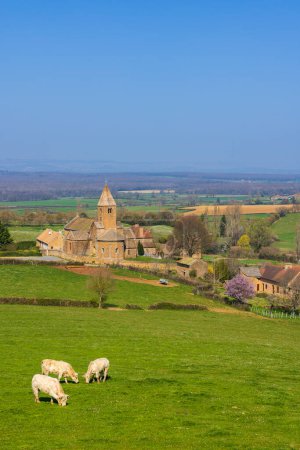 Photo for Spring landscape with cows and eglise Notre Dame de Lancharre, Bourgogne, France - Royalty Free Image