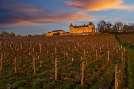 Téléchargez les photos : Château de Rully, département de Saone-et-Loire, Bourgogne, France - en image libre de droit