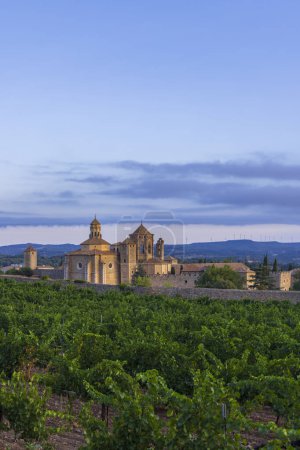 Photo for Royal Abbey of Santa Maria de Poblet, cistercian monastery, Catalonia, Spain - Royalty Free Image