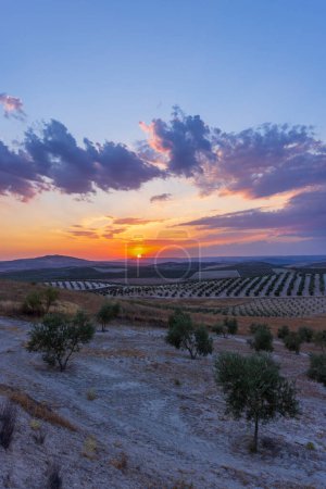 Téléchargez les photos : Paysage andalou typique pendant le coucher du soleil, Espagne - en image libre de droit