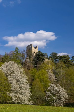 Foto de Ruinas del castillo Valecov, Bohemia Central, República Checa - Imagen libre de derechos
