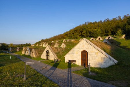 Téléchargez les photos : Pinces automnales Gombos-hegyi à Hercegkut, site UNESCO, Grande plaine, Hongrie du Nord - en image libre de droit