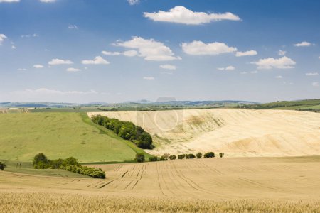 Photo for Landscape called Moravian Tuscany, Southern Moravia, Czech Republic - Royalty Free Image