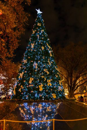 Photo for Christmas tree in Vienna, Austria - Royalty Free Image