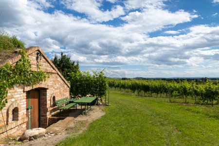 Téléchargez les photos : Caves à vin et vignoble dans la région de Palava, Moravie du Sud, République tchèque - en image libre de droit