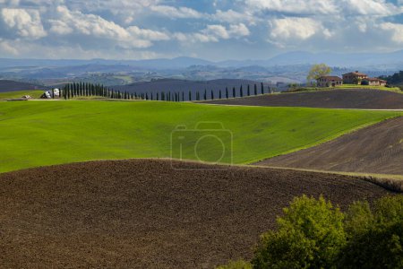 Photo for Typical Tuscan landscape near Siena, Tuscany, Italy - Royalty Free Image