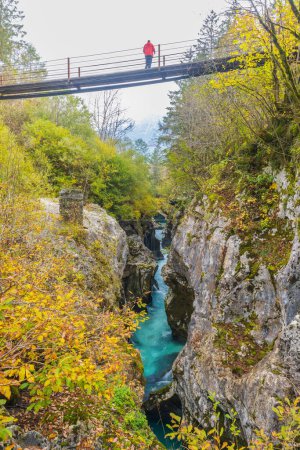 Téléchargez les photos : Gorge de la Grande Soca (Velika korita Soce), parc national de Triglavski, Slovénie - en image libre de droit