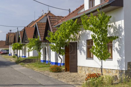 Téléchargez les photos : Traditional wine cellars in Blatnice pod Svatym Antoninkem, Slovacko, Southern Moravia, Czech Republic - en image libre de droit
