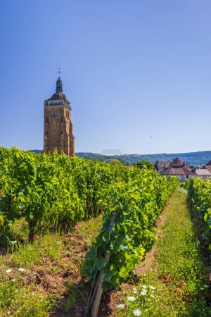 Téléchargez les photos : Vignobles avec église d'Arbois, département du Jura, Franche-Comte, France - en image libre de droit