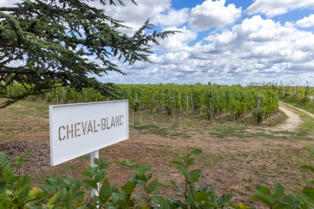 Téléchargez les photos : Vignobles typiques (1er Grand Cru Classe A) près de Château Cheval Blanc, Saint-Emilion, Aquitaine, France - en image libre de droit