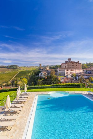 Téléchargez les photos : Château et ville avec vignoble à Barolo, région Langhe, Piémont, Italie - en image libre de droit