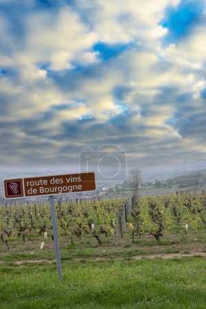 Photo for Wine road near Saint-Veran and Macon, Burgundy, France - Royalty Free Image