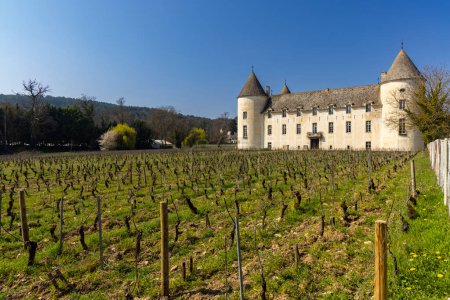 Téléchargez les photos : Savigny-les-Beaune castle (Chateau de Savigny-les-Beaune), Cote de Nuits, Burgundy, France - en image libre de droit
