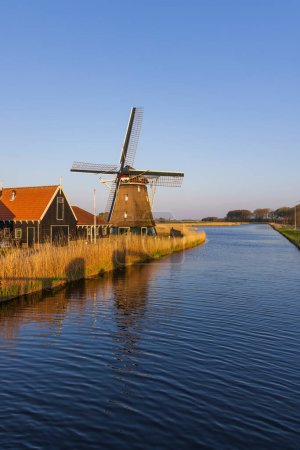 Téléchargez les photos : Otter windmill near Alkmaar, The Netherlands - en image libre de droit