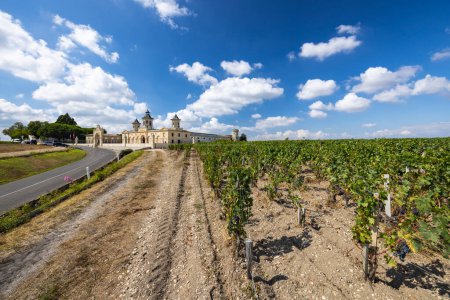 Téléchargez les photos : Vignobles avec Château Cos d'Estournel, Bordeaux, Aquitaine, France - en image libre de droit