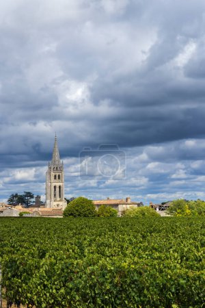 Foto de Viñedos con Saint-Emilion, Aquitania, Gironda, Francia - Imagen libre de derechos