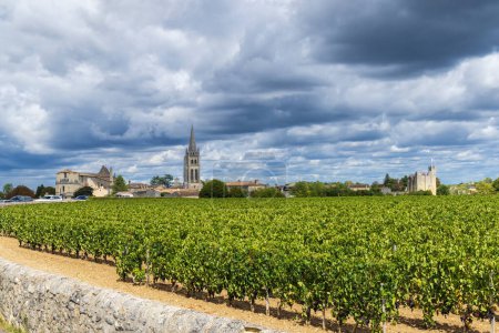 Photo for Vineyards with Saint-Emilion town, Aquitaine, Gironde, France - Royalty Free Image