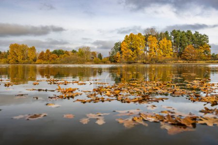 Foto de Estanque de otoño cerca de Trebon, Bohemia del Sur, República Checa - Imagen libre de derechos