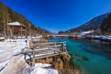 Foto de Paisaje invernal en Zelenci, Eslovenia - Imagen libre de derechos