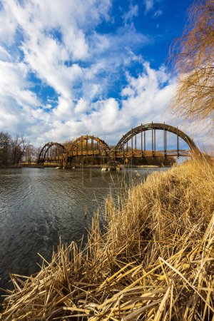 Photo for Wooden bridge in Balaton-felvideki nature reserve, Kis-Balaton, Transdanubia, Hungary - Royalty Free Image