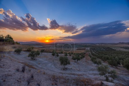 Téléchargez les photos : Paysage andalou typique pendant le coucher du soleil, Espagne - en image libre de droit